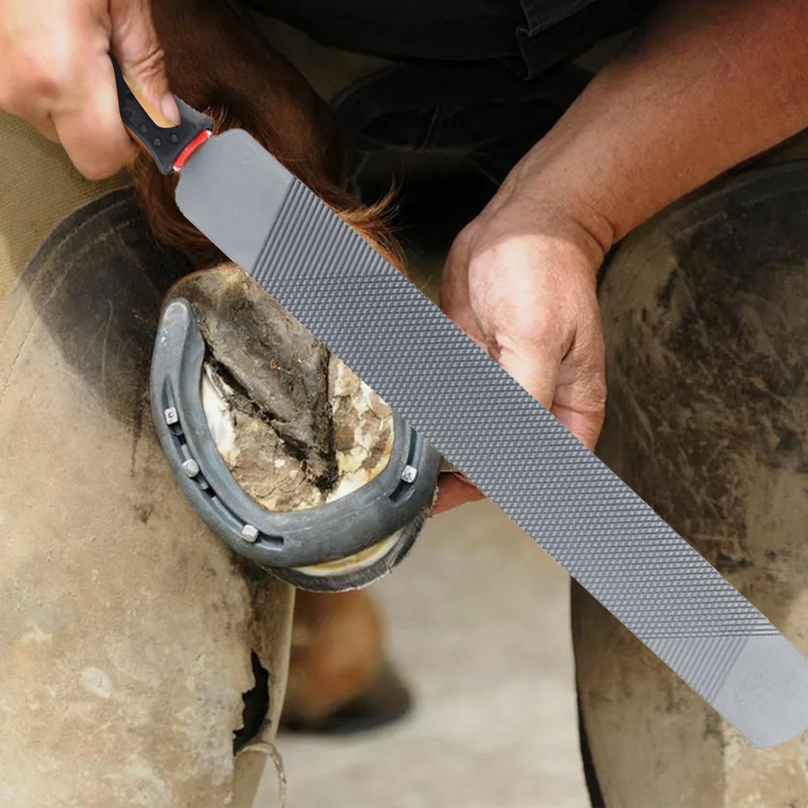 Genérico Horse Hoof Rasp - Premium Carbon Steel Hoof Rasp | Hoof File Carbon Steel Farrier Tools | Double Sided Hoof Rasp For Horses | Minii Hoof Rasp Hoof Rasp For Goat Horse Hoof Care