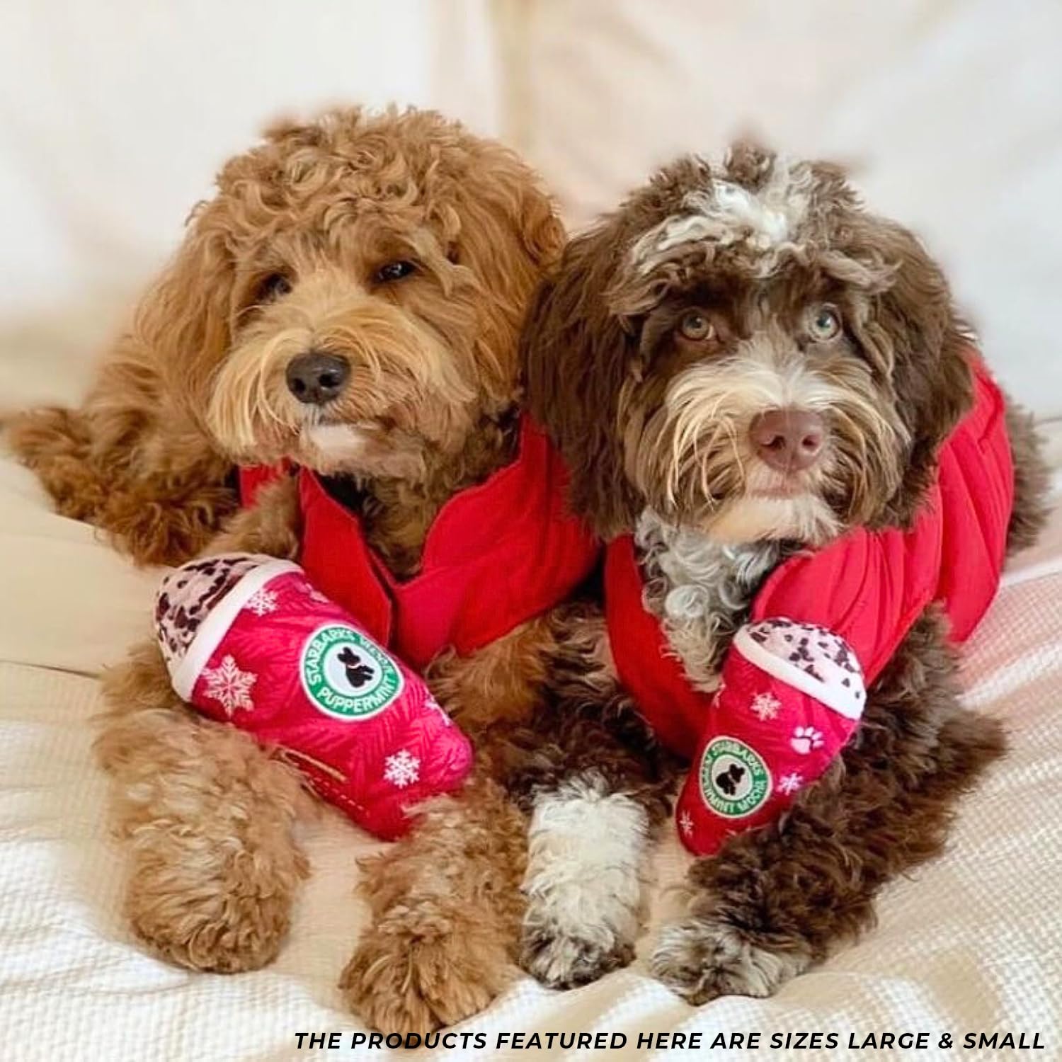 Pet Supplies : Haute Diggity Dog Starbarks Puppermint Mocha Plush