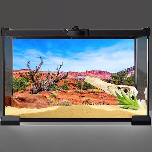 Miniatura 2 de AWERT 48x24 pulgadas Reptil Hábitat Fondo Cielo Azul Oasis Naranja Desierto Terrario Fondo Poliéster