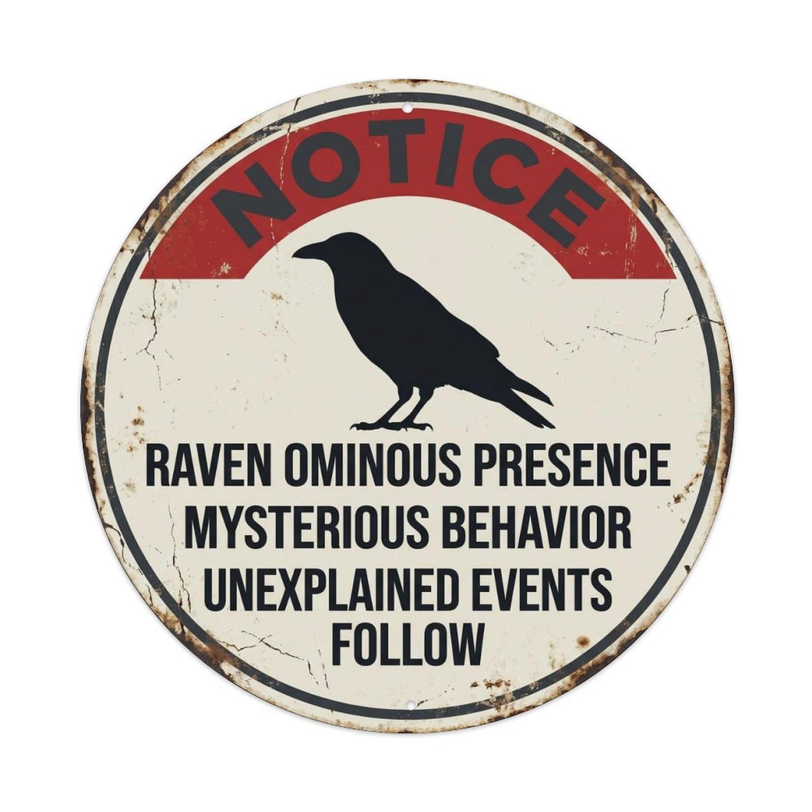 Dramatic Raven Mystery Bird Vintage Metal Tin Sign Plaque Wall Decor for Cafe, Club, Garden Round Metal Poster 8x8Inch