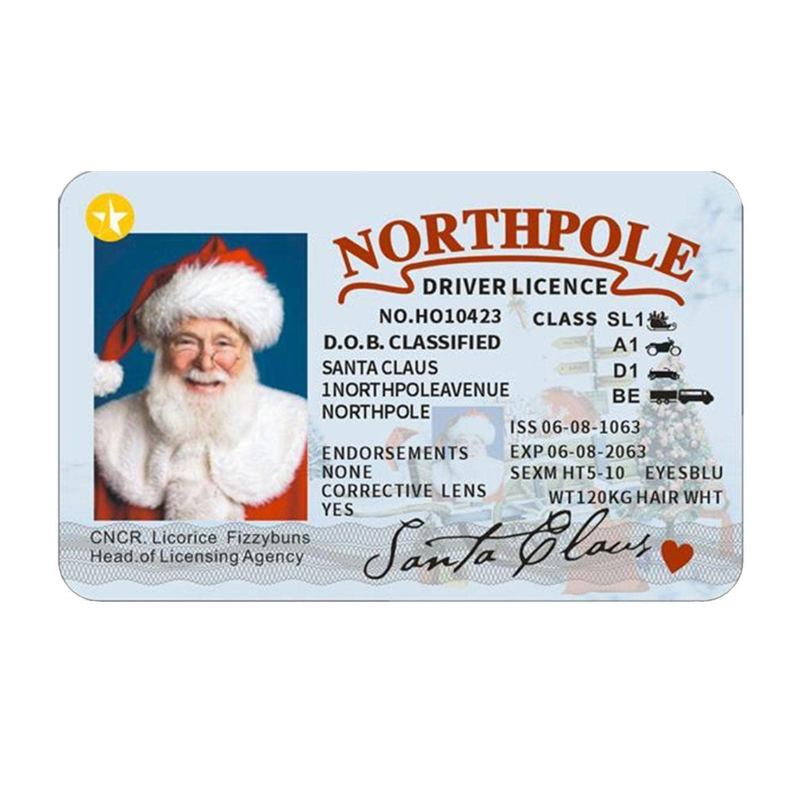 Amazon.co.jp: サンタのそり 紛失した運転免許証 サンタの免許証
