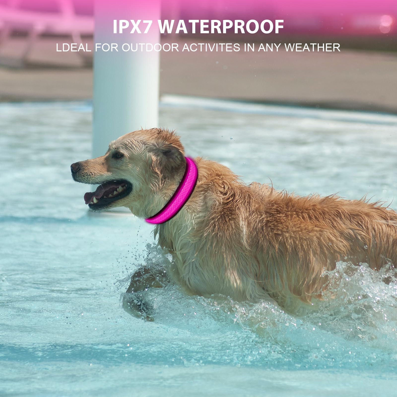 Collare Luminoso Per Cani Ricaricabile USB - LED Impermeabile Con 3 Modalità, Taglia M - Foto 2