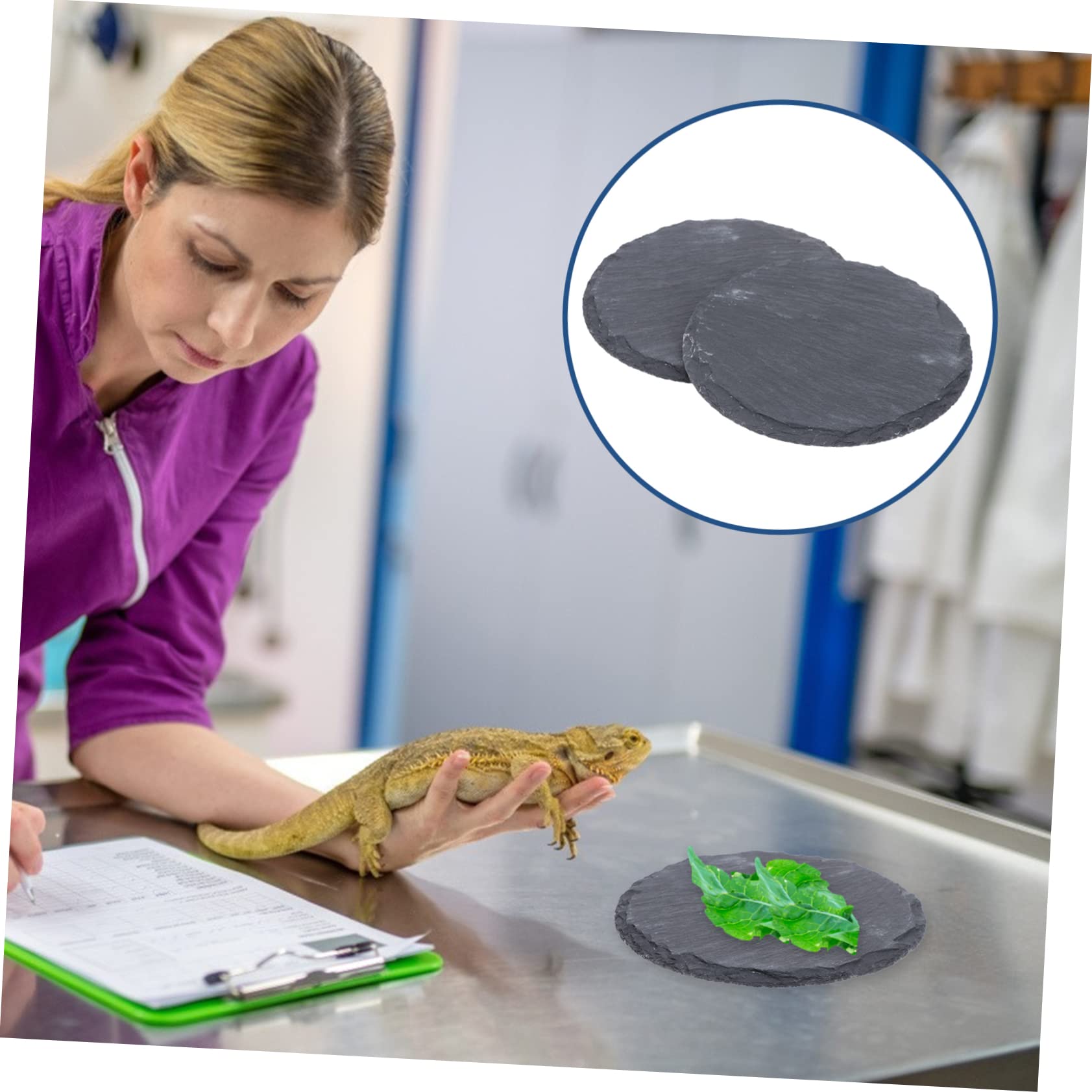 Levemolo Enhance Your Pet's Habitat Stone Basking Platform Set Reptile Turtle Basking Platforms