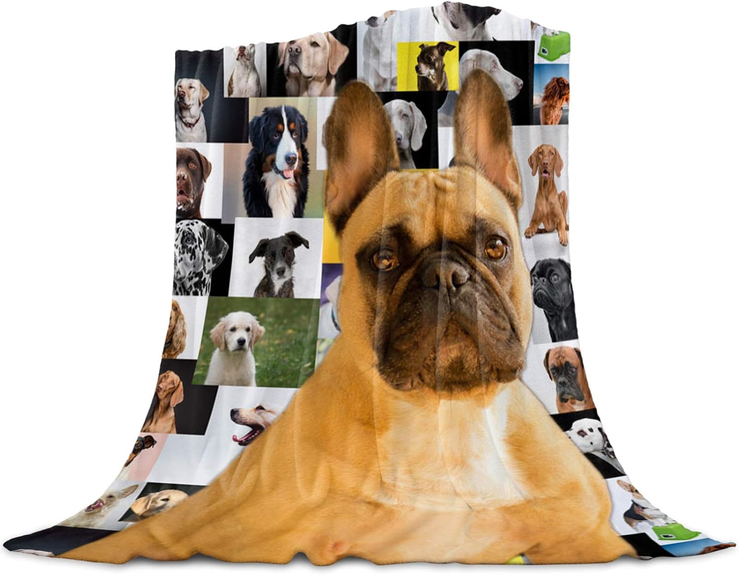 Why Do Dogs Roll In Blankets