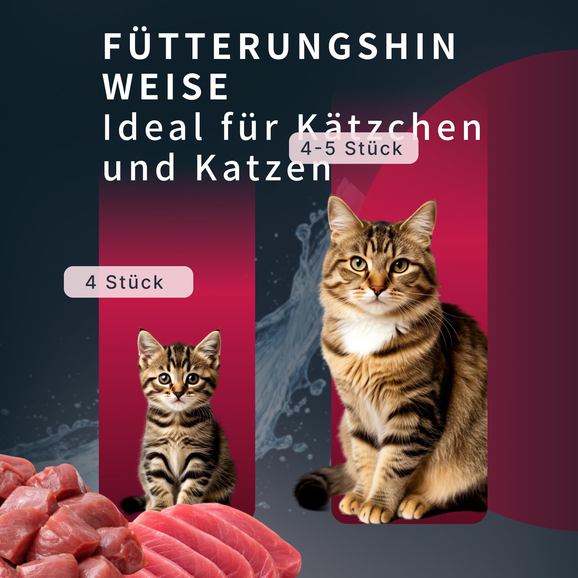 Katzenfutter Nass Mousse Rind Thunfisch Unterstützung Gelenke (55g x 12Pack