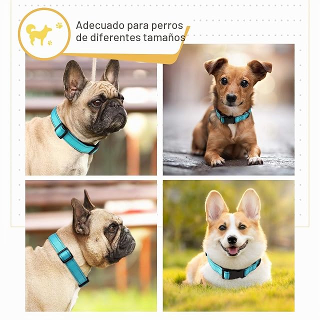 Foto 2 de 7 de HEELE Collar Perro, Collar Nylon Reflectante Neopreno Forrado Ajustable para Perro Grande, Azul, L