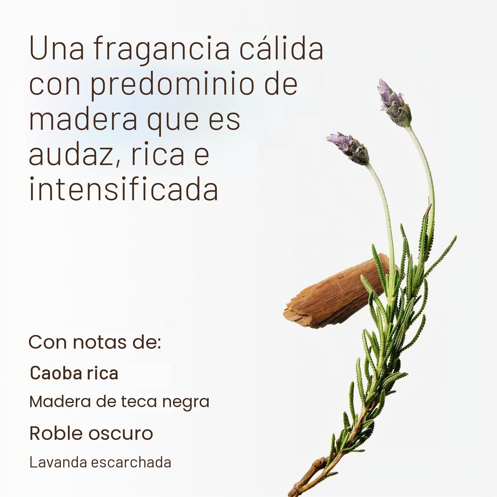 Bath and Body Works - Vela de 3 mechas de madera de teca de caoba de alta intensidad, 411 g