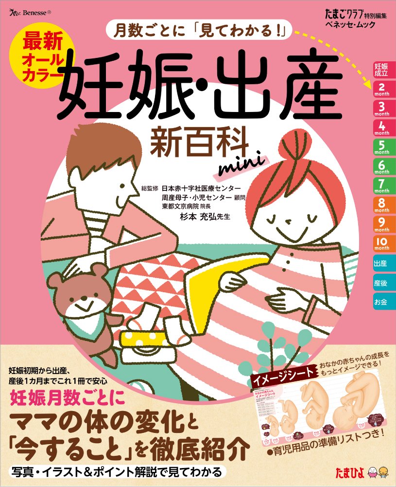 befa! 子育て冊子セット　妊娠7ヶ月から生後5ヶ月他おまとめ13点 befa! 子育て冊子セット 妊娠7ヶ月から生後5ヶ月他おまとめ13点