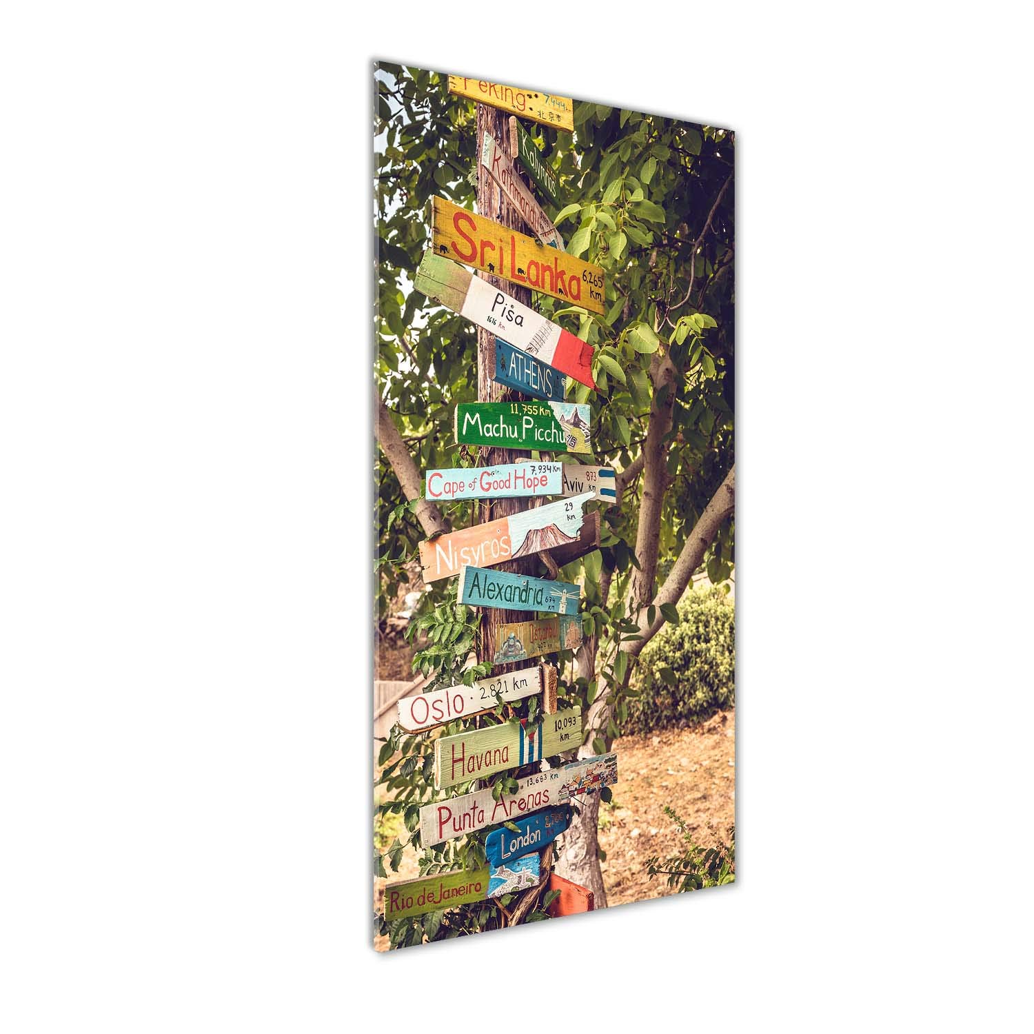 Tableaux pour la Mur en Verre Acrylique Tulup - Solution Déco Mural Anti-Choc 50x125