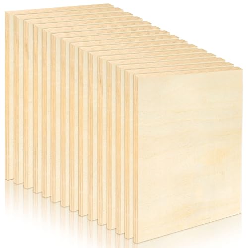 15 Pack Unfinished Wood Canvas Panels Kit 11.8x7.9 Inch Wooden Panel Boards Wood Paint Pouring Panels Wooden Canvas Panels Boards for Painting, Pouring Art, Crafts