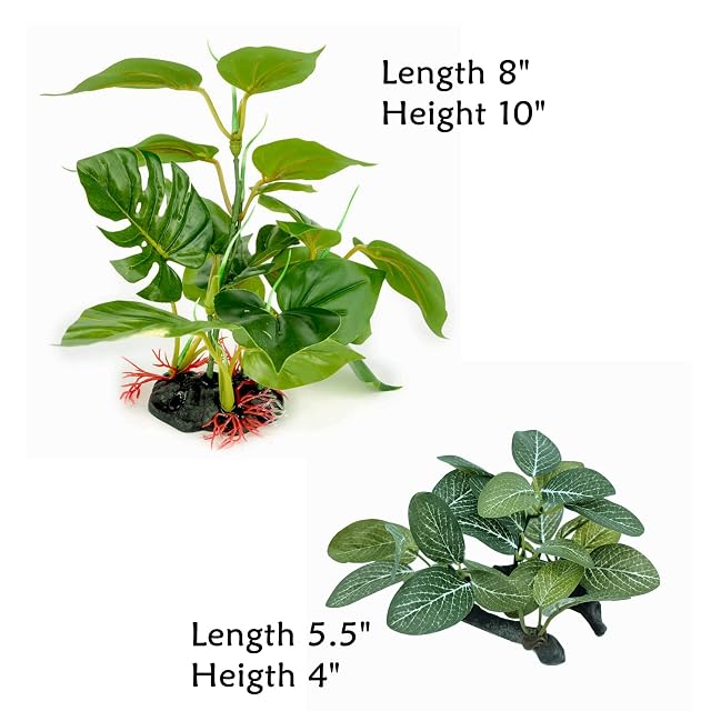 Foto 2 de 6 de M2cbridge Plantas artificiales para peceras, plantas acuáticas para acuario