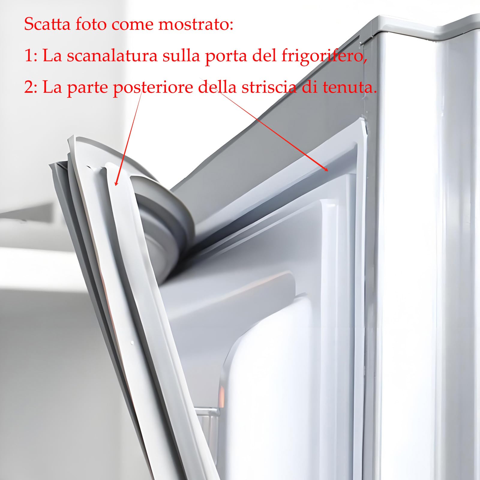 Guarnizione in Gomma per Porta frigo o Freezer, Comune a Tutte Le Marche e Perfettamente Personalizzata