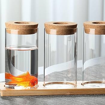 Amazon.com: Clear Glass Planter Vase with Wooden Lid and