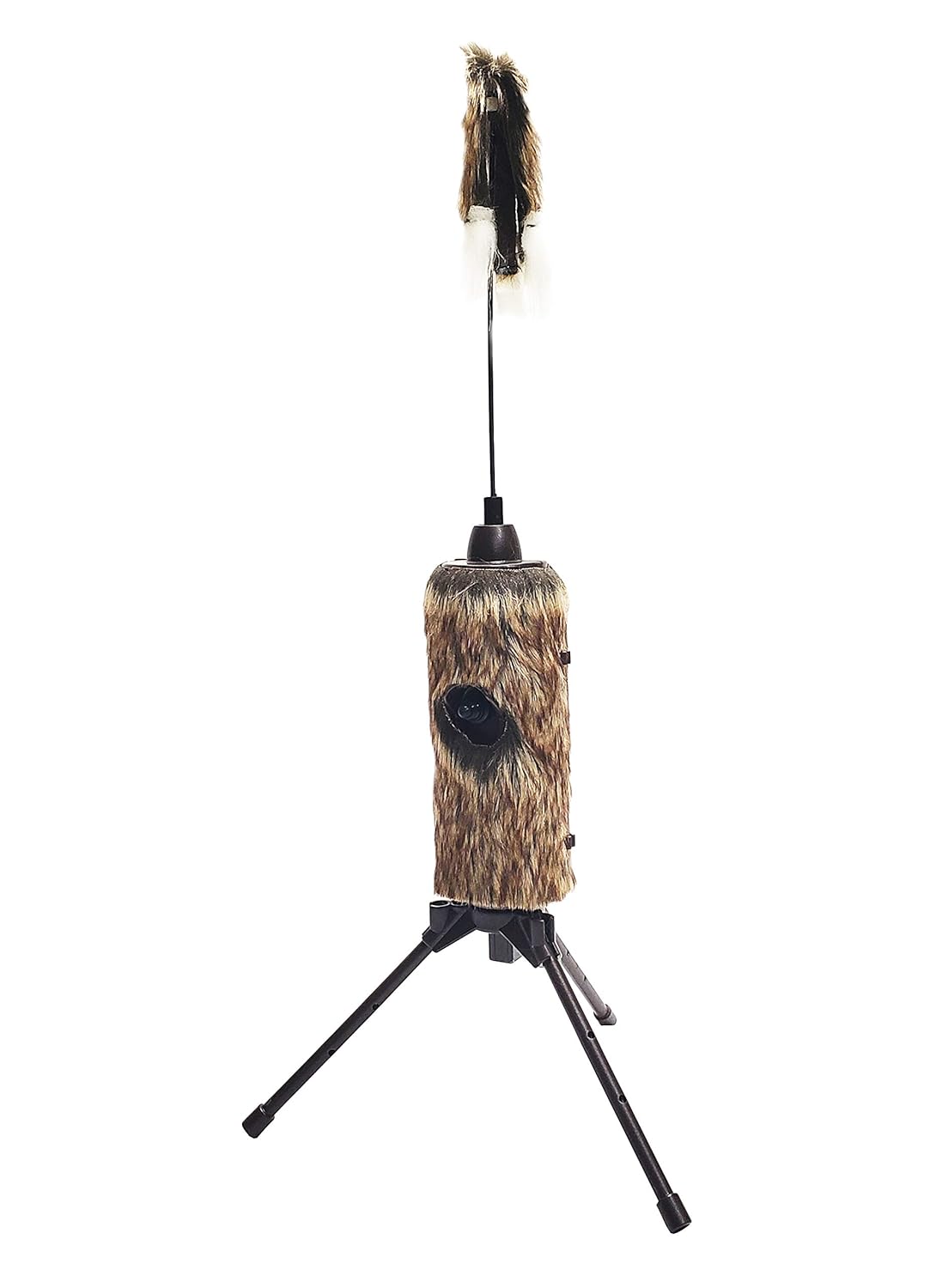 MOJO Outdoors Critter Predator Hunting Decoy Great for Coyote and Bobcat Hunting and as a
