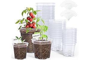 Ultra-Clear Nursery Pots: Nurture Your Seedlings with Clarity