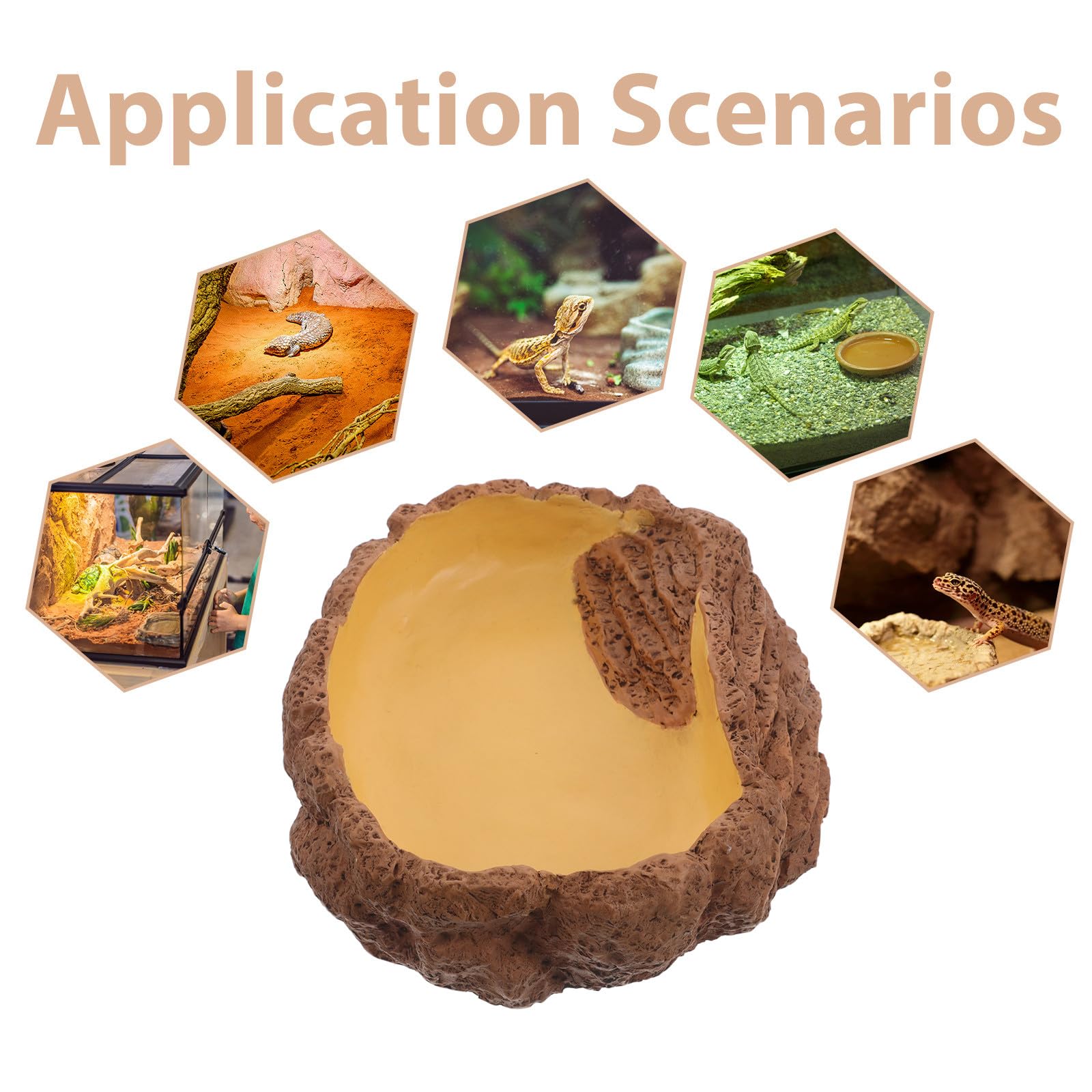 Cuenco para Tortugas, Gecko, Plato de Agua para Reptiles, Plato de Comida y Agua para terrario, comedero para lagartos, cangrejos ermitaños y Ranas.