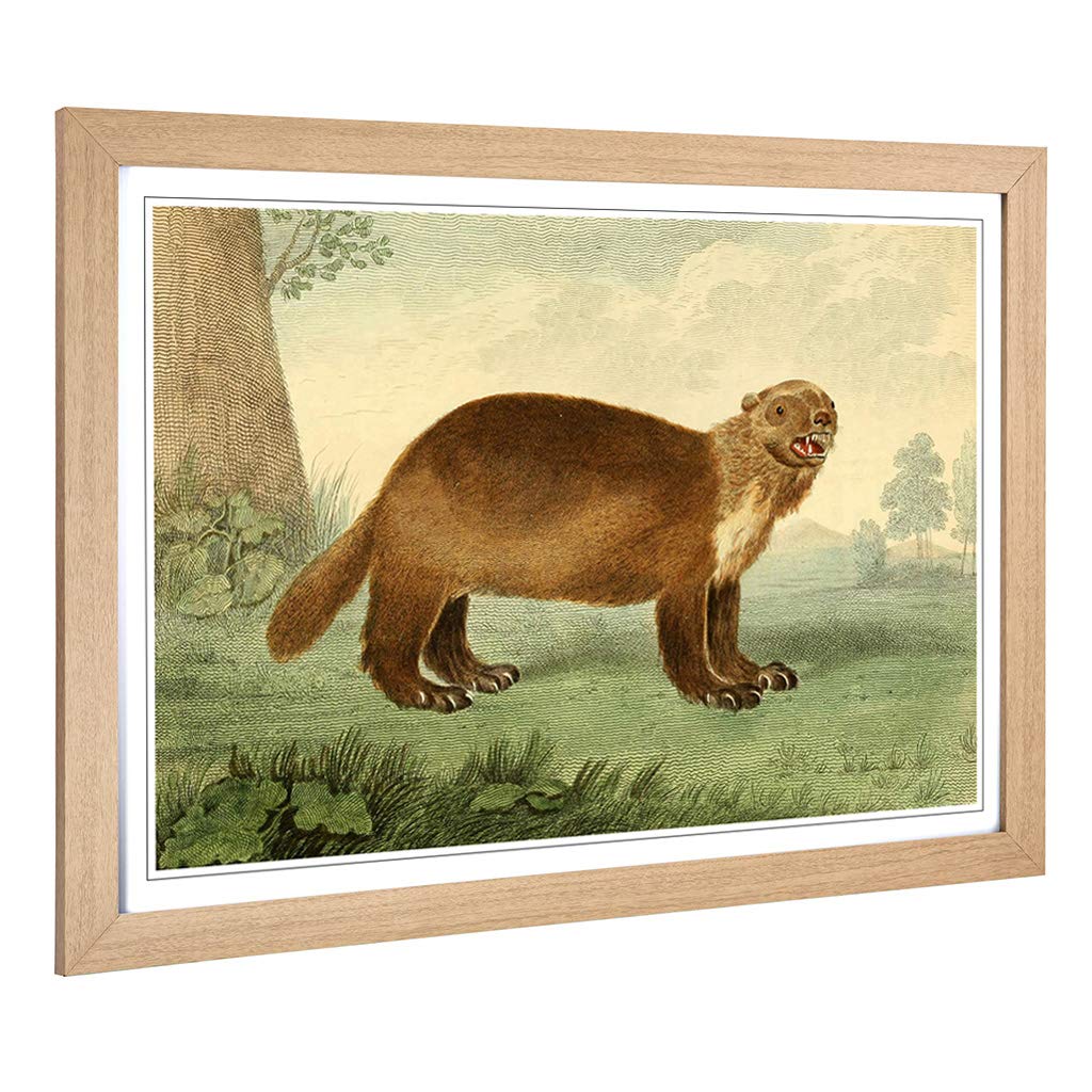 Big Box Art Framed Print of Vintage Charles R Ryley Wolverine Design | Wall Art Picture | Home Decor for Kitchen, Living Room, Bedroom, Hallway, Oak, A2 / 24.5x18 Inch / 62x45cm