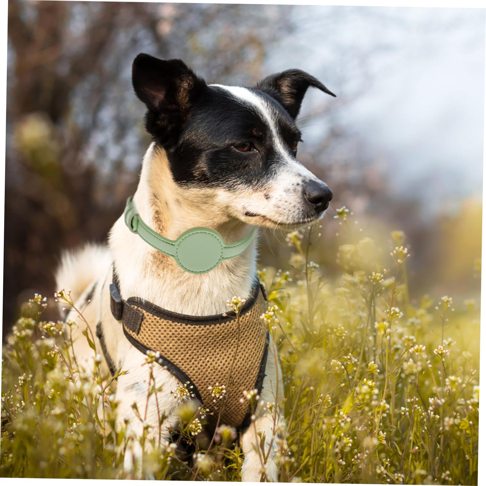 FOMIYES 5stücke Cat Tracer Collar Verstellbares Atmungsaktives Katzenhalsband Aus Pu-Material Leicht Und Bequem Für Outdoor-aktivitäten Kompatibel Mit Helligrün