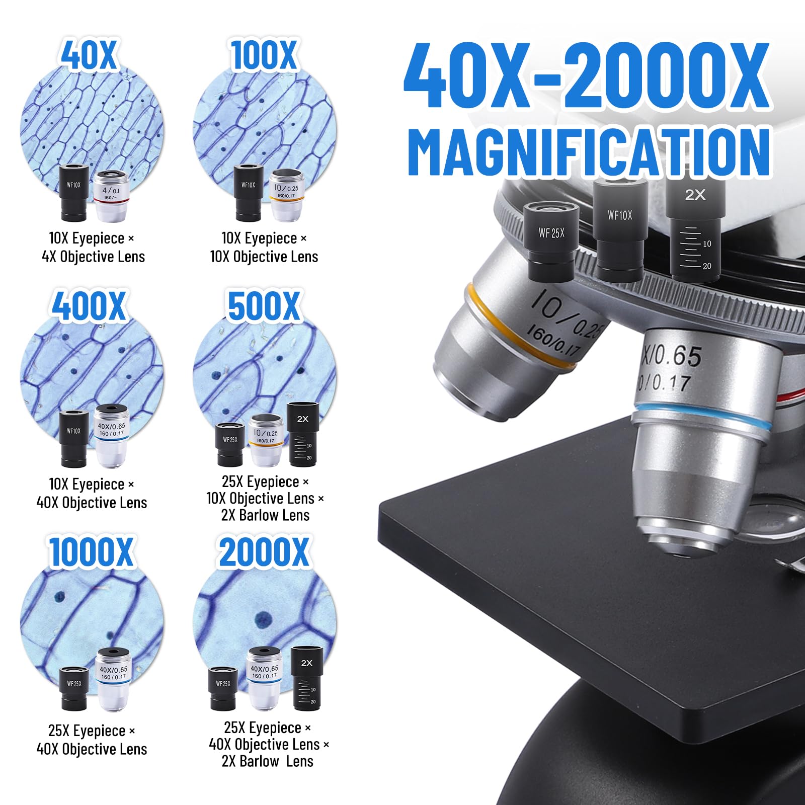 Snapklik.com : Kids Adults Microscope, 40X-2000X, Black, LED ...