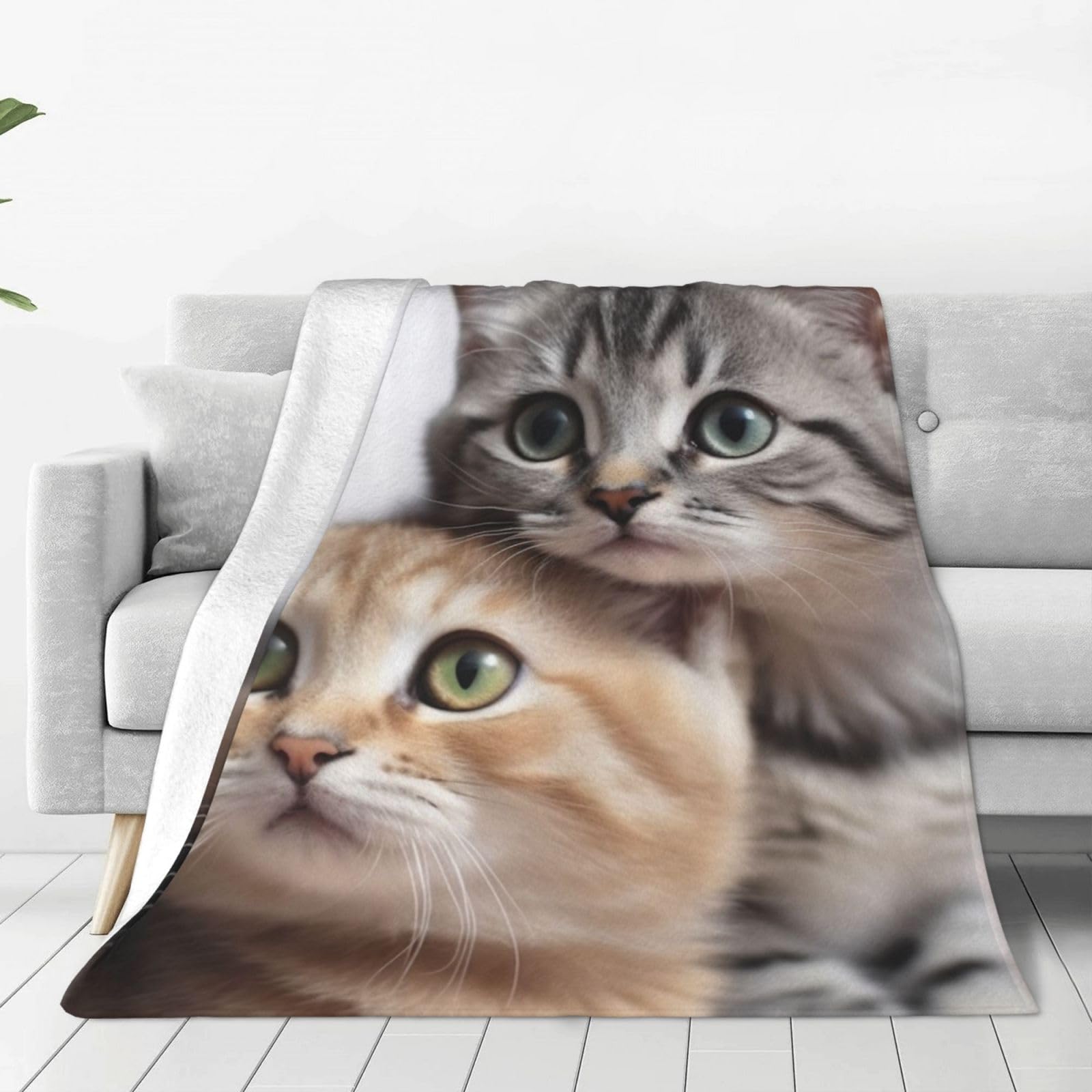 Amazon.com: Cats Blanket Ultra-Soft Micro Fleece Throw Blanket Warm Air  Conditioner Blanket Lightweight Flannel Blankets for Bed Couch Living Room  50x40 : Home u0026 Kitchen