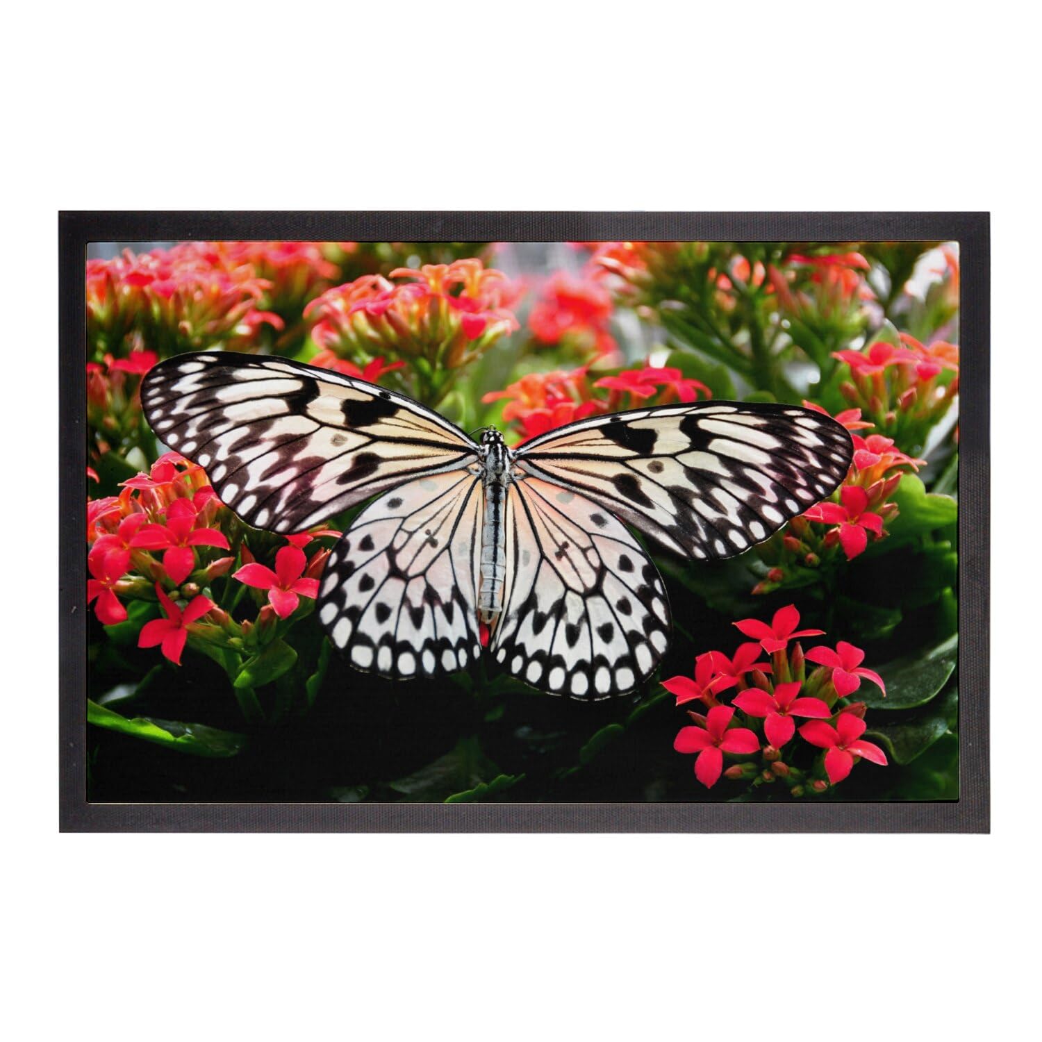 Paillasson papillon noir et blanc sur fleurs rouges 75x50 cm