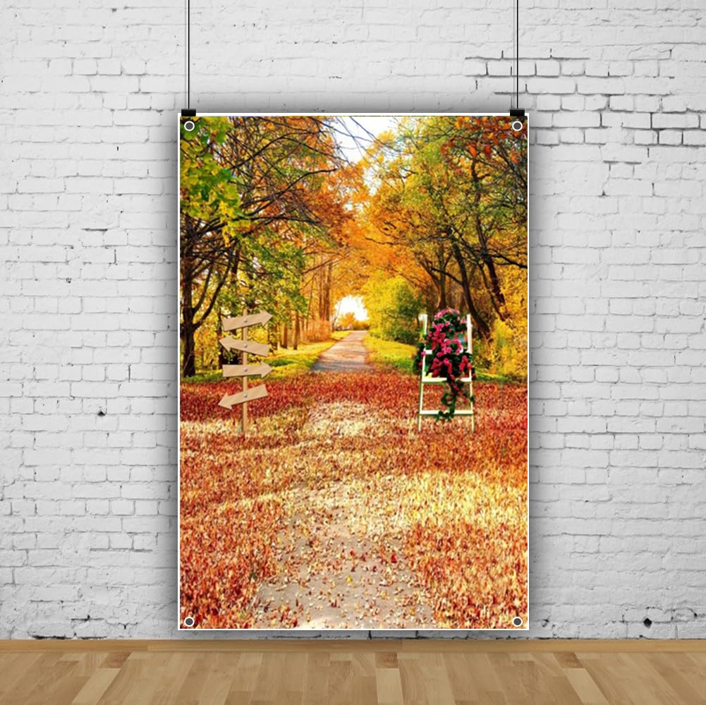 Amazon | Qinunipoto 秋の背景布 秋の森 写真背景 1x1.5m 秋 撮影用