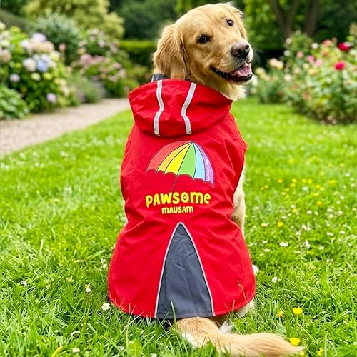 For The Fur Kids Pawsome Mausum Dog Raincoat - for Golden Retriever, Labrador, German Shepherd, Boxer, Rottweiler, Doberman and Similar Dog Breeds (Large (30 Inches Length))