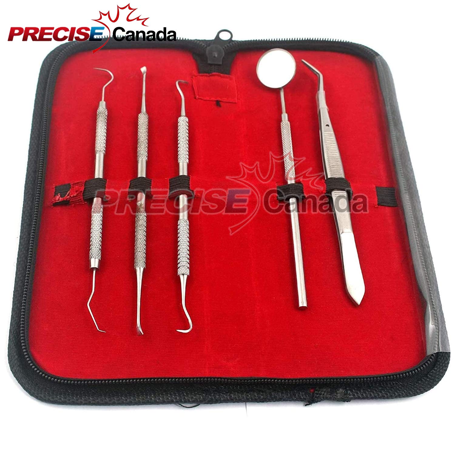 PRECISE CANADA Pro Kit, Stainless Steel Dental Scaler, Mouth Mirror, Tarter Scraper, Tooth Pick, Tweezers, Plaque and Calculus Remover Dentist Instruments Set for Home & Pet Oral Use