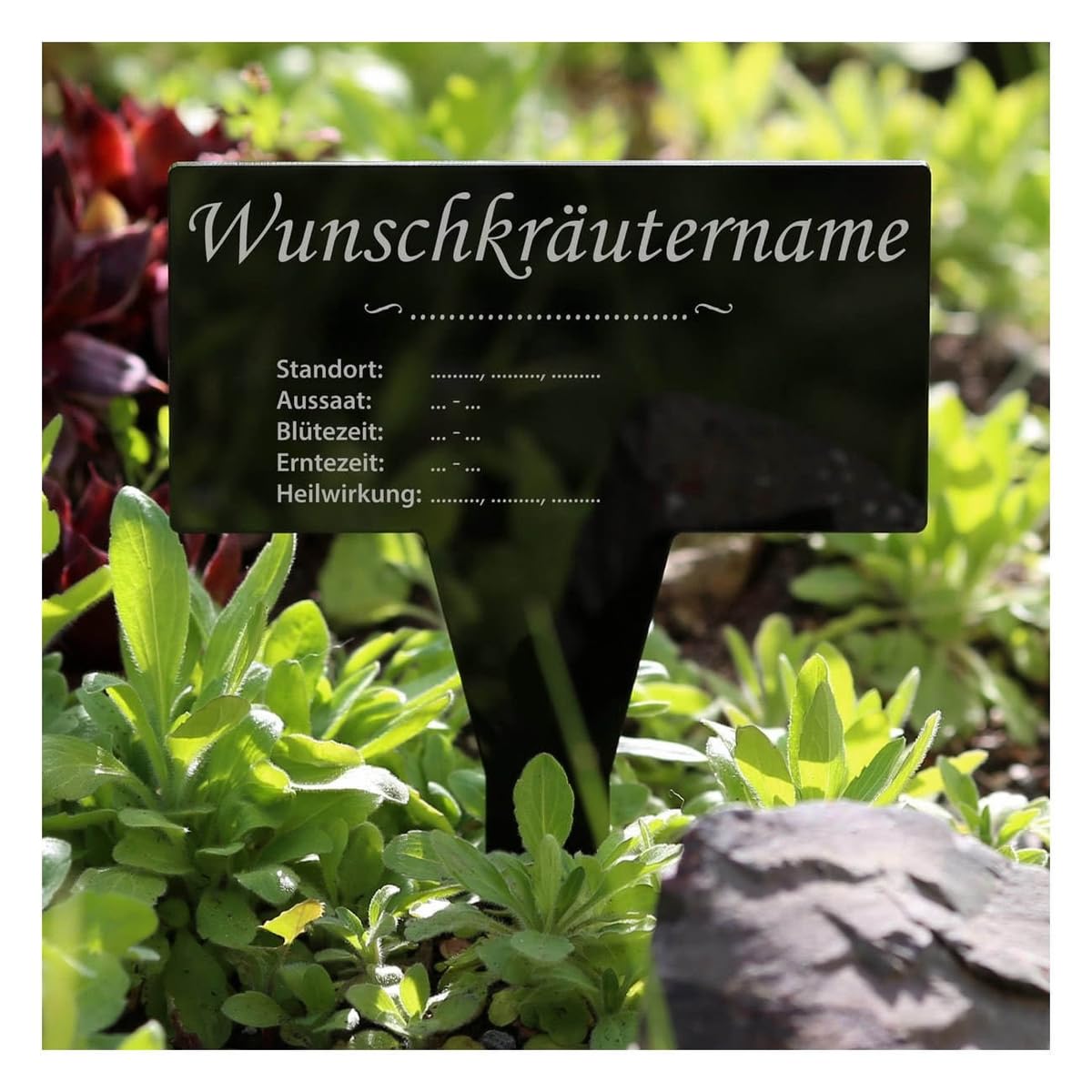 Bütic Plexiglas® Pflanzschild Dual – Neongrün/schwarz, Wetterfest, Graviert (z.B. Kürbis)