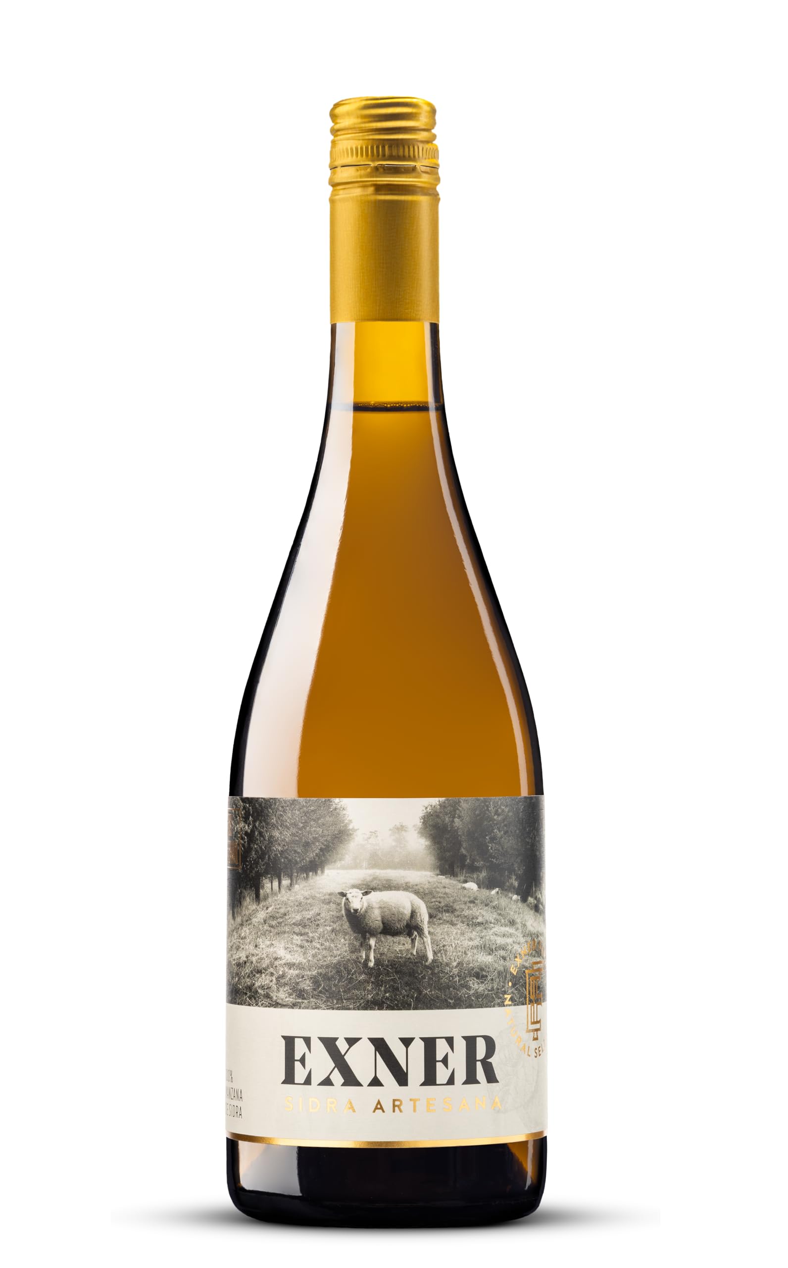 EXNER Sidra Artesana Craft Apple Cider - Natural - 100% Manzana - No Procede de Concentrado - Sin Gluten Vegana - 6 x 75 cl