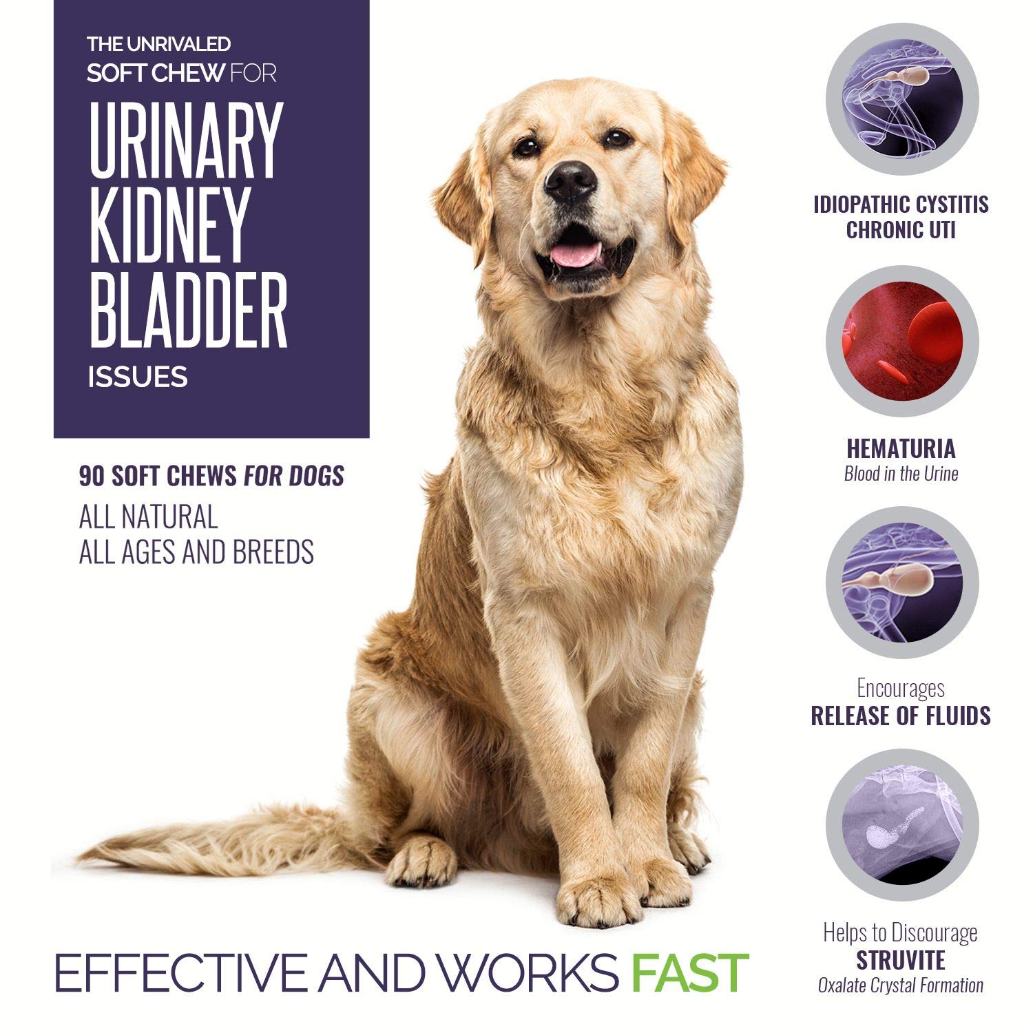 What Does Crystals In My Dogs Urine Mean