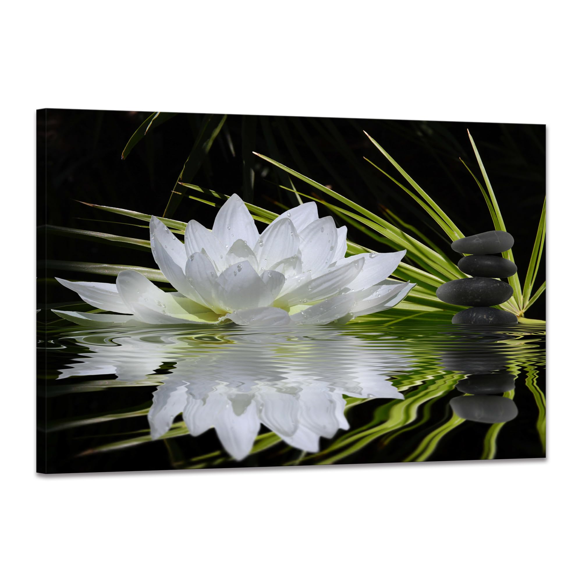 Amazon.com: Canvas Prints Zen Wall Art Lotus Flower Prints Pictures for ...