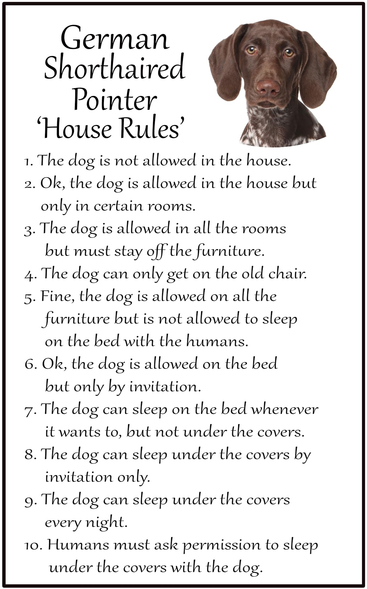 Fridge Magnets Brown And White German Shorthaired Pointer Gsp Dog Gift - House Rules - Large Fun Flexible Fridge Magnet- Size 16Cms X 10 Cms (Approx. 6" X4")