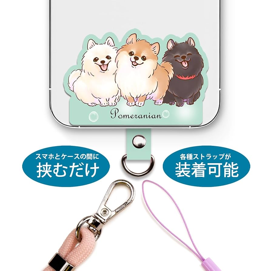 Amazon.co.jp: ポメラニアン 【笑顔が楽しく可愛いわんこ