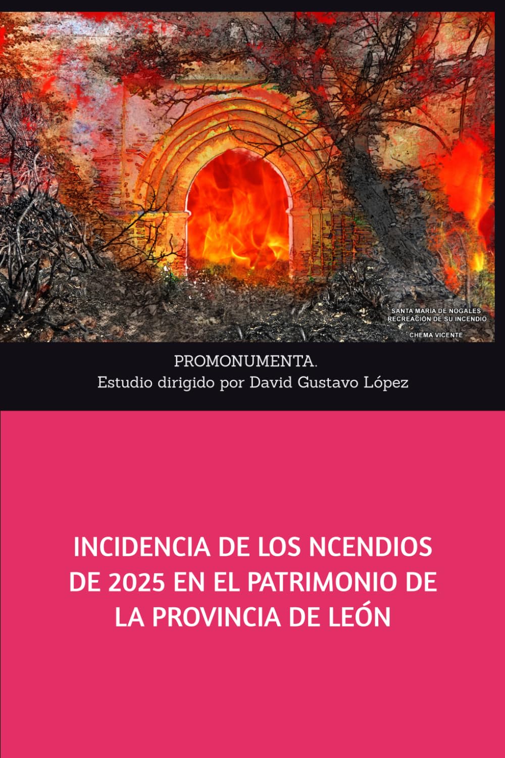 INCIDENCIA DE LOS INCENDIOS DE 2025 EN EL PATRIMONIO DE LA PROVINCIA DE LEÓN