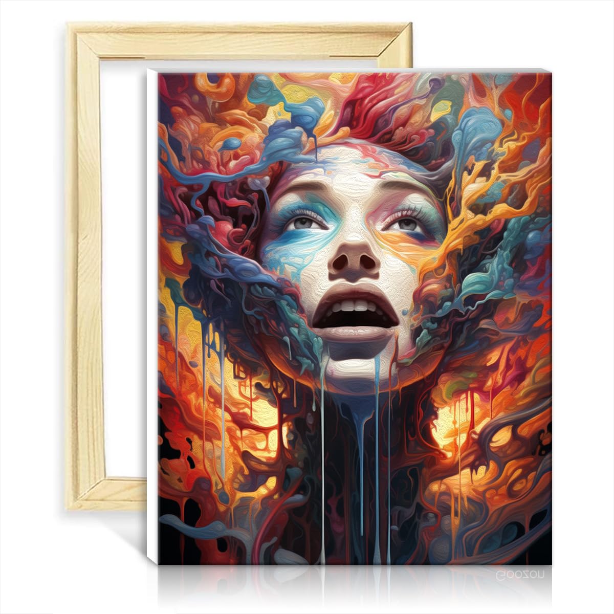 TANGFEIY Oil Painting by Numbers Kits Woman DIY Paint by Number with Brushes and Acrylic Pigment on Pictures for Home Wall Decor Gifts DIY Frame(40x50cm)