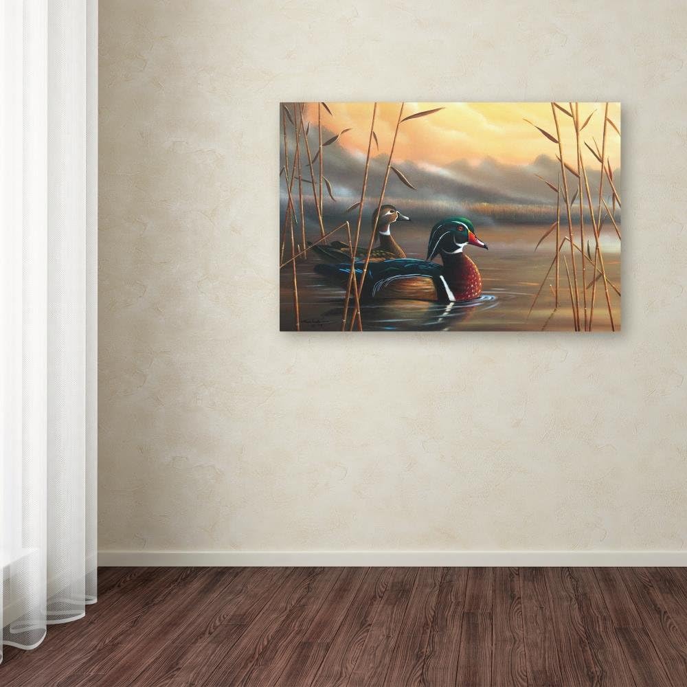 Geno Peoples Framed Canvas Art with Wood Ducks for Kids