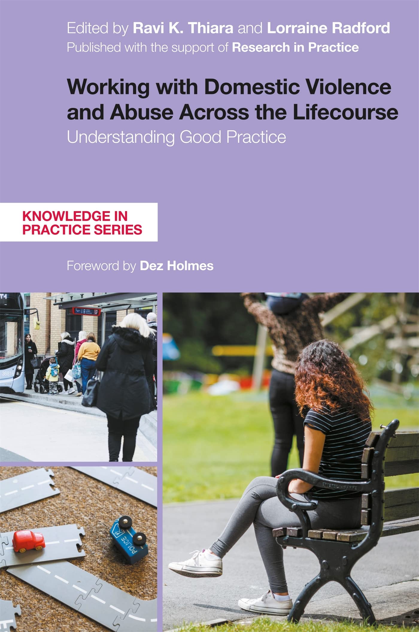 Working with Domestic Violence and Abuse Across the Lifecourse: Understanding Good Practice (Knowledge in Practice)