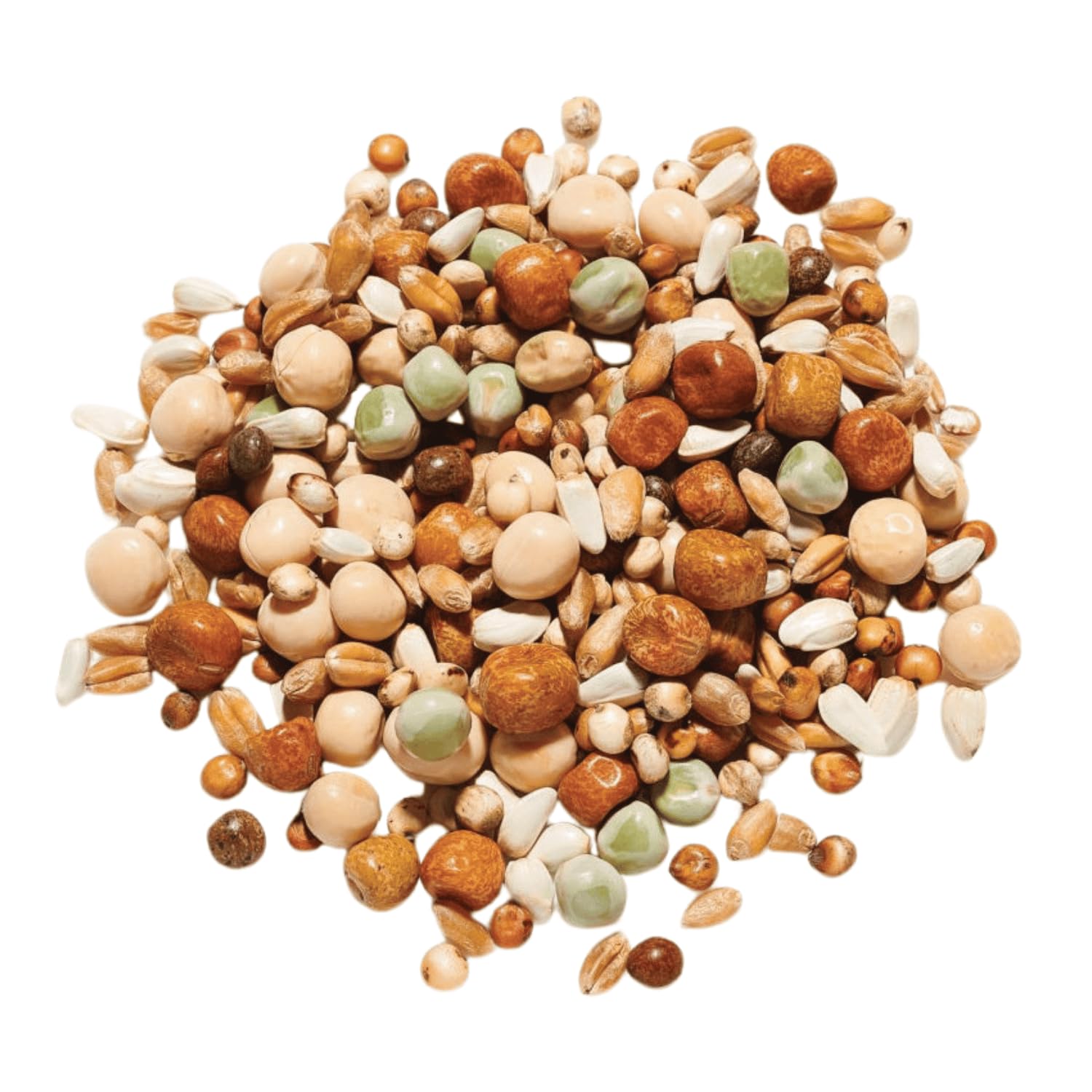 Countrywide Super Young Bird No Maize Pigeon Food 20kg - Natural Seed Mix For Young Pigeons - High in Protein, Energy & Fibre - Rich in Nutritious Oils, Vitamins & Minerals - Dust Free