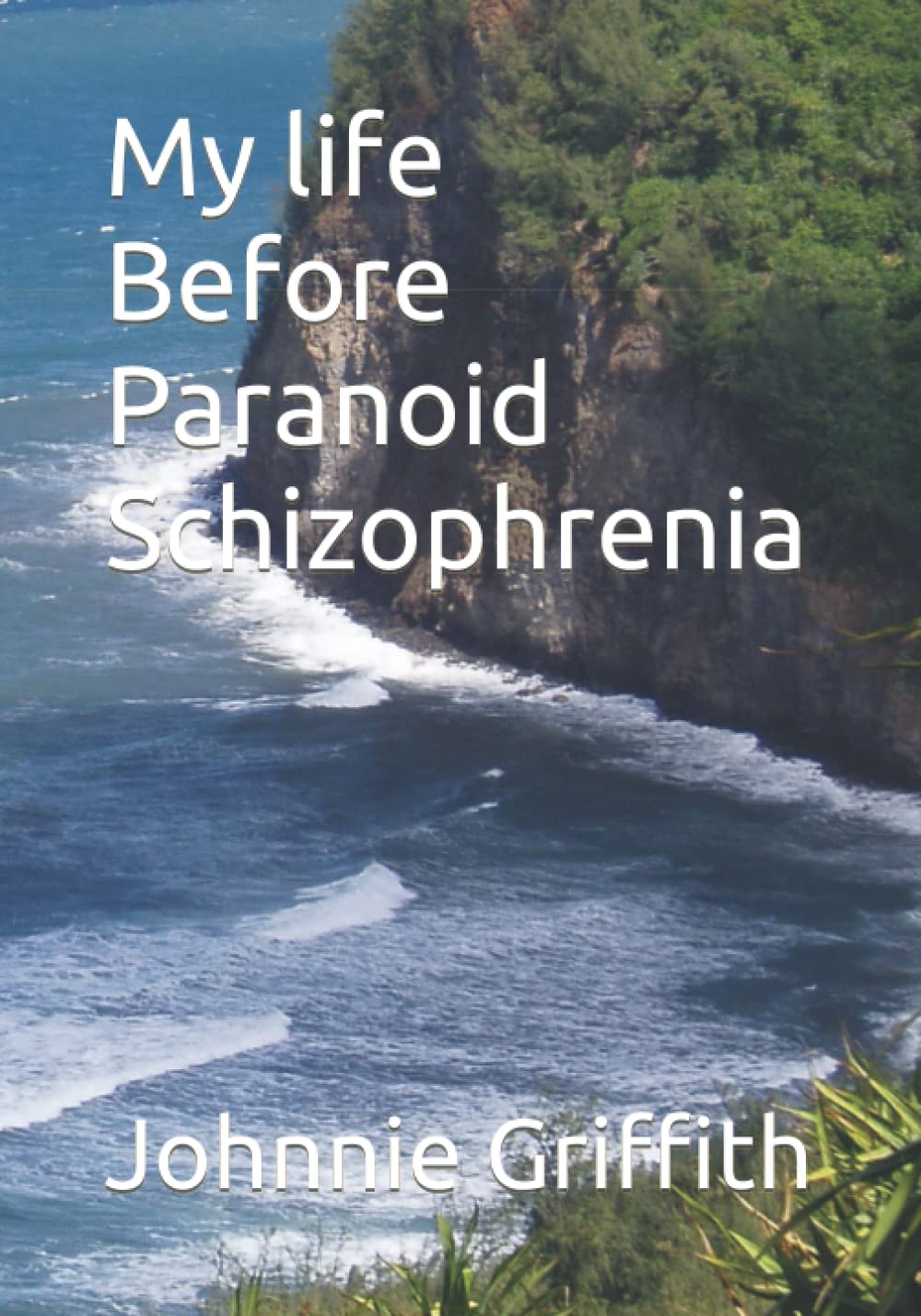 My life Before Paranoid Schizophrenia