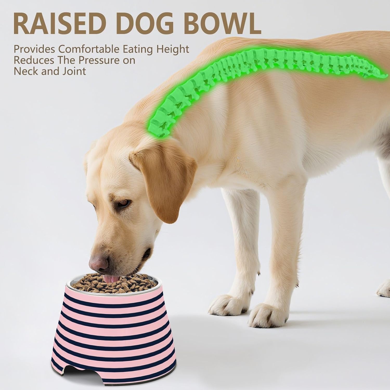 Black and Lavender Stripes Pets Food Bowl Enhanced Stainless Steel Cats Food Dish for Small Pet Slow Down Eating
