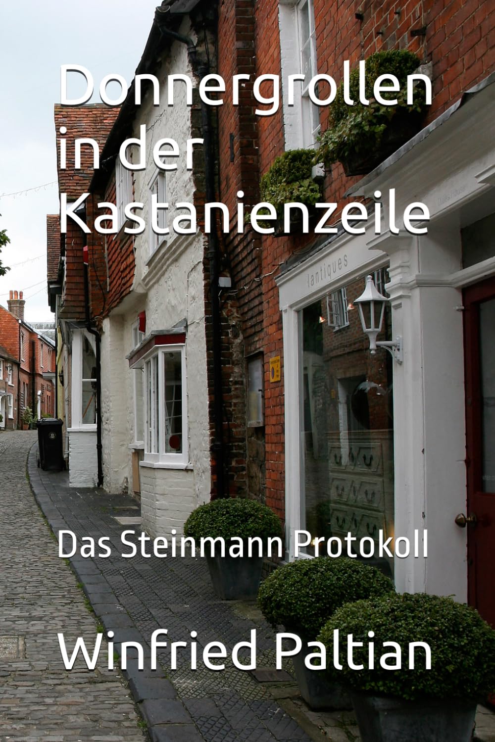 Donnergrollen in der Kastanienzeile: Das Steinmann Protokoll
