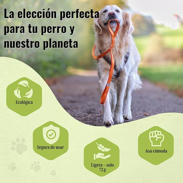 Foto 3 de 7 de Hundefreund Correa para Perros Reciclada de Poliéster 100 % Reciclado
