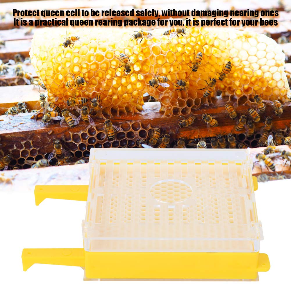 SIXRUN Kit Allevamento Regina Set Allevamento Regina in Plastica con Copertura Protettiva per Cella Pacchetto Completo per Api Installazione Semplice e Protezione Cella per Apicoltori