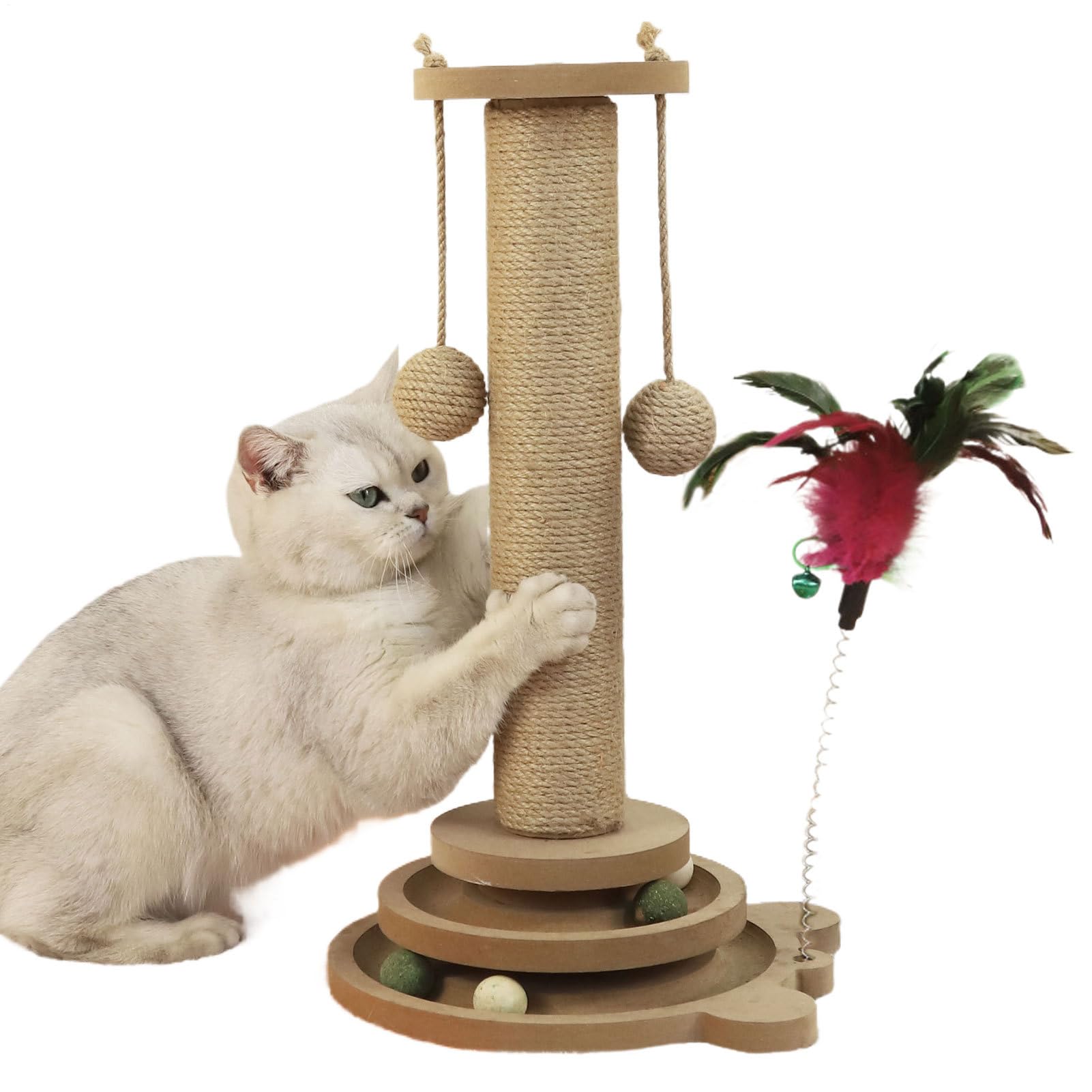 Griffoir pour Chat Circuit À Balle pour Chat