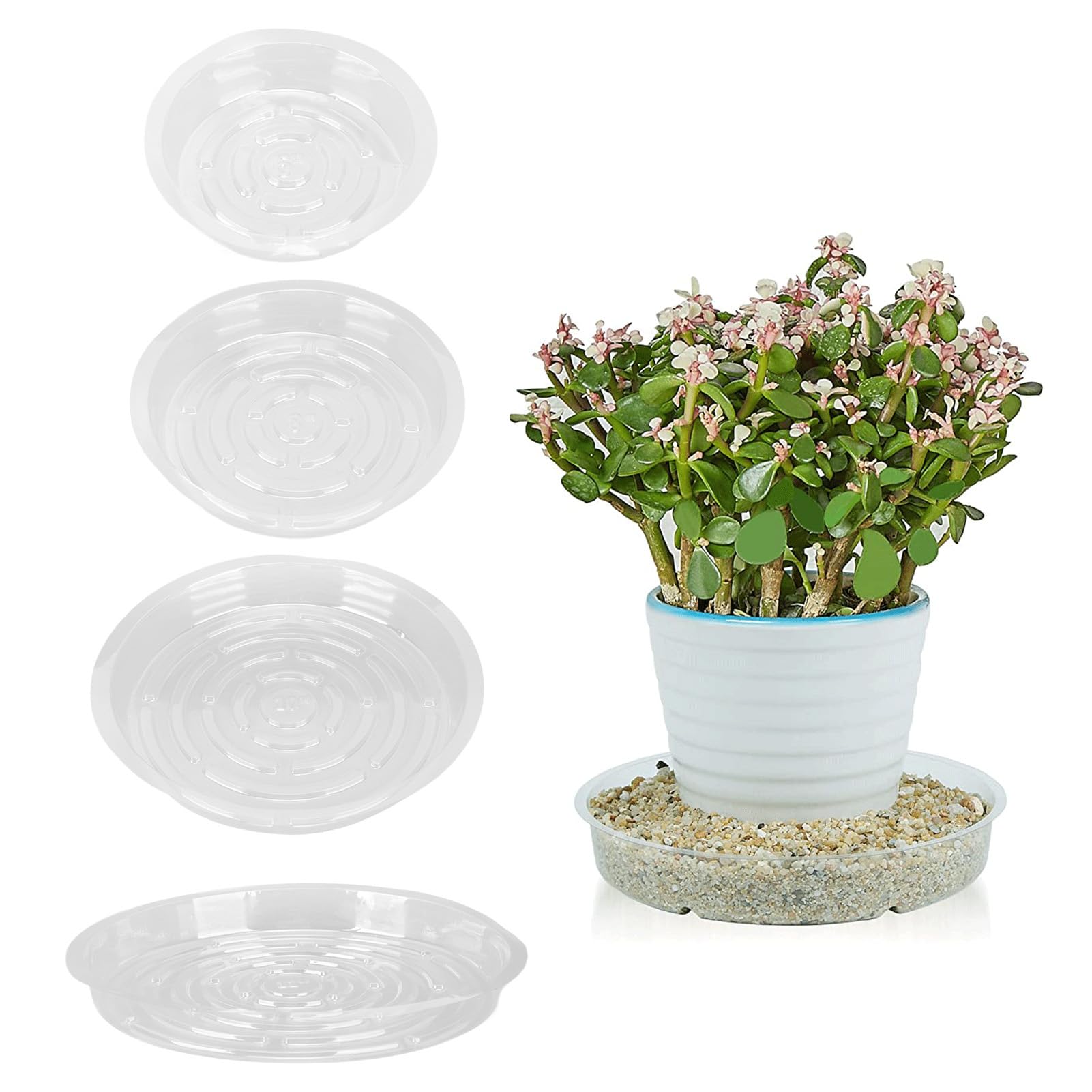 Soucoupes Pour Plantes Transparentes - Lot De 20, Diamètre 25 Cm - En Plastique PP, Pour Intérieur/extérieur - Pour Pots De Fleurs Ou Usage Divers - 5