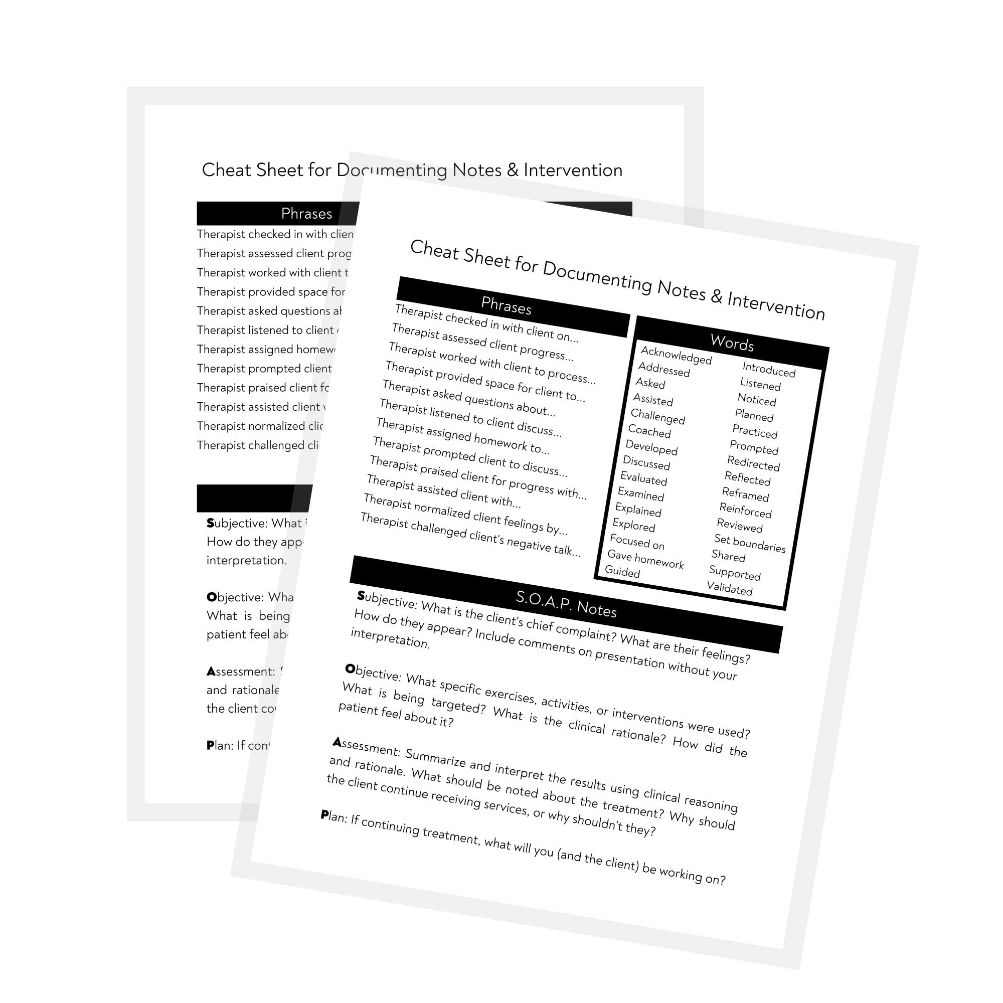Snapklik.com : Therapy Notes And Intervention Cheat Sheet 2 Laminated ...