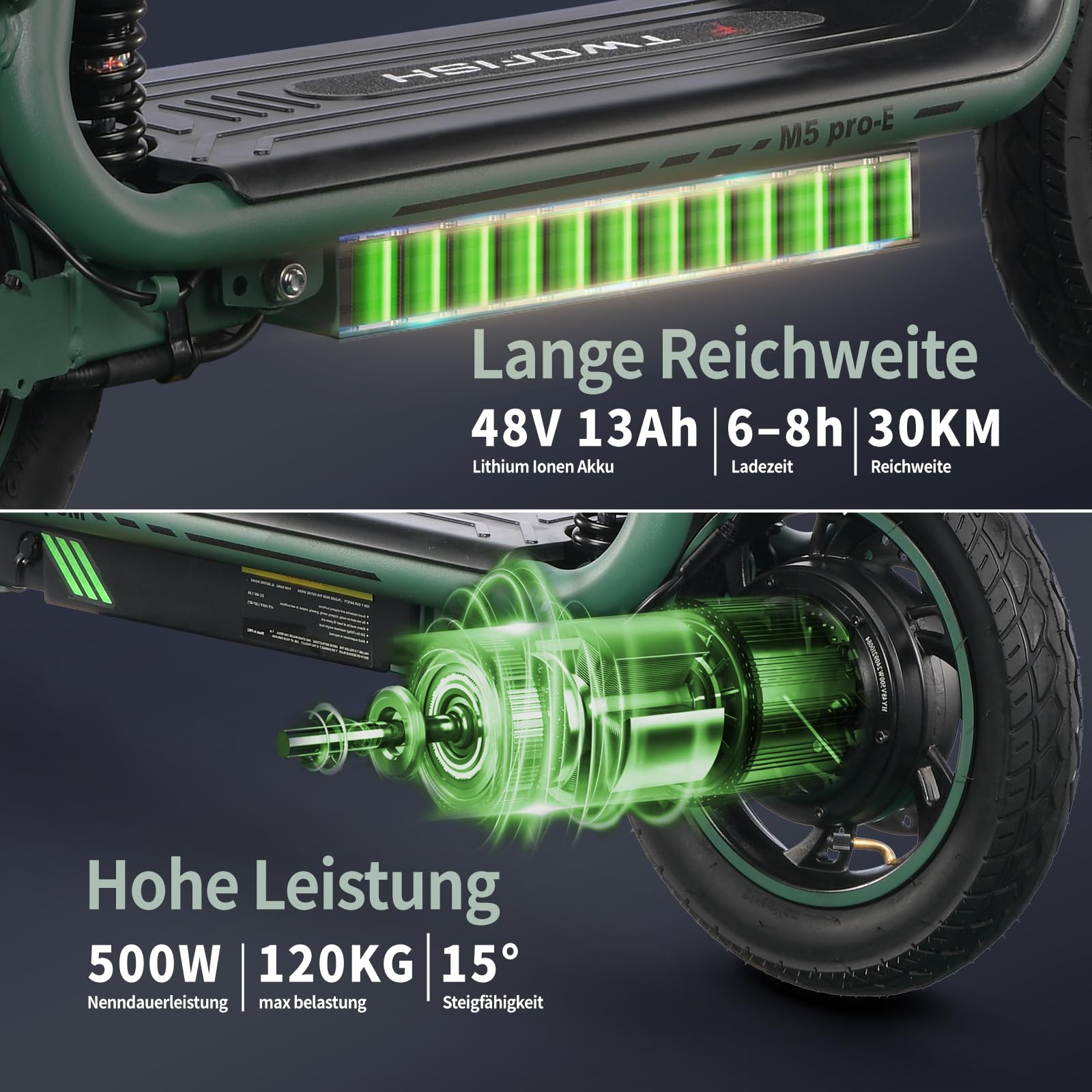 TWOFISH E Moped mit Straßenzulassung, Elektro Motorrad für Erwachsene mit 500W Motor 48V 13Ah Akku, EEC Zertifiziert, 12/14 Zoll Reifen, Display, Rückspiegel