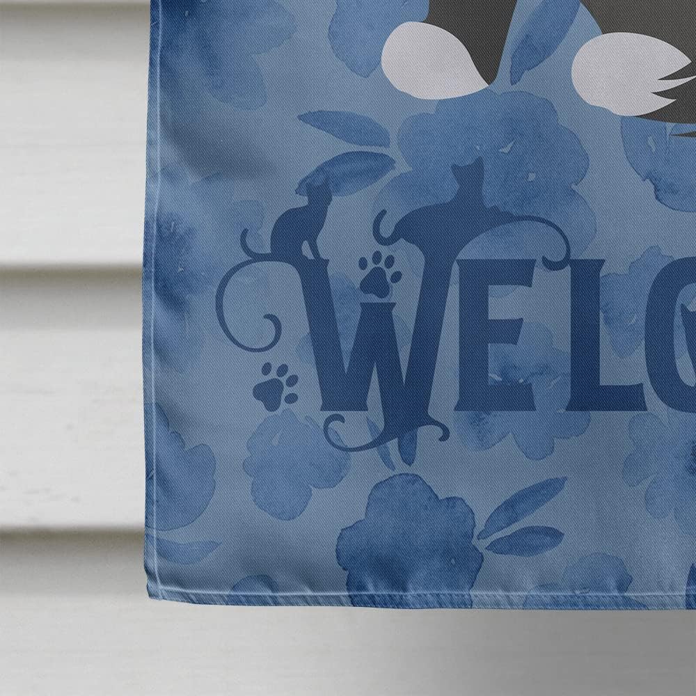 Caroline's Treasures CK5060CHF Siberian Forest Cat Welcome House Flag Large Porch Sleeve Pole Decorative Outside Yard Banner Artwork Wall Hanging, Polyester, House Size, Multicolor