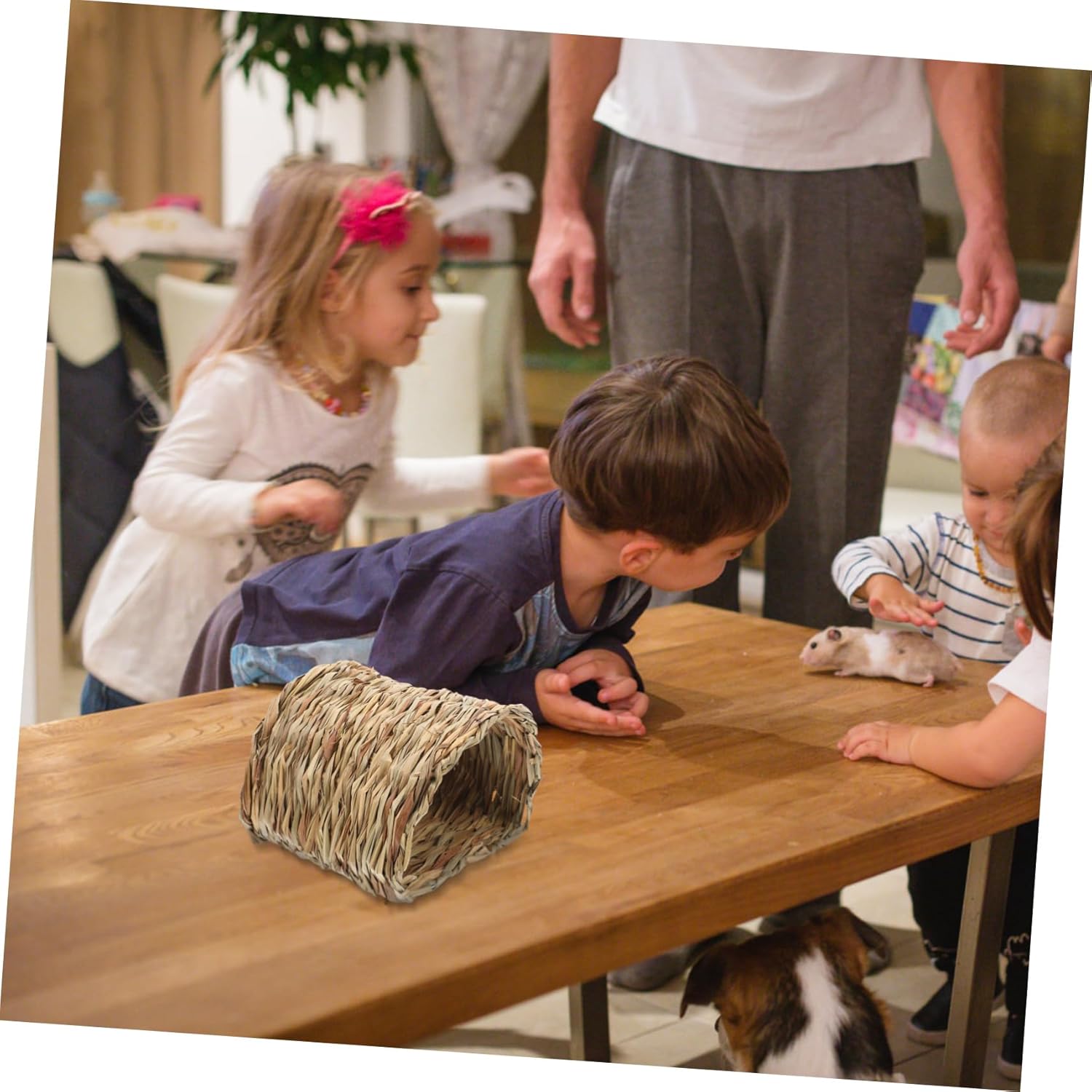 Handcrafted Rabbit Resting Mat Guinea Pig Hamster Chinchilla Hedgehog House Tunnel Easy to Clean